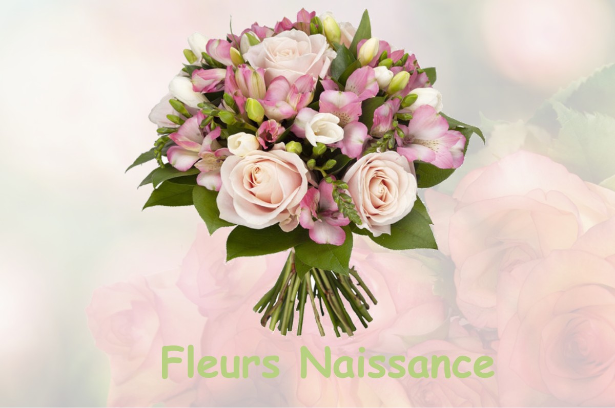 fleurs naissance SALSES-LE-CHATEAU