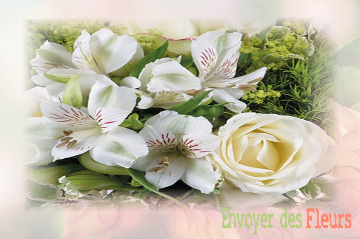 envoyer des fleurs à à SALSES-LE-CHATEAU